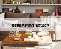 我们家的老物件作文300字