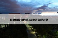 绿野仙踪读后感400字四年级大全