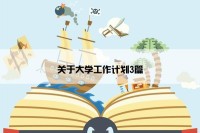 关于大学工作计划3篇