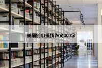 美丽的小操场作文300字