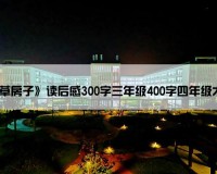 《草房子》读后感300字三年级400字四年级大全