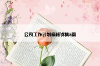 公司工作计划模板锦集5篇