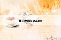 我的老师作文300字