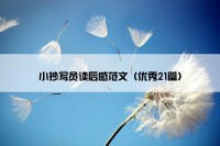 小抄写员读后感范文（优秀21篇）