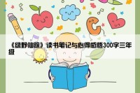 《绿野仙踪》读书笔记与心得感悟300字三年级