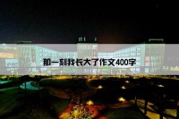 那一刻我长大了作文400字
