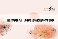 《追风筝的人》读书笔记与感悟800字高中