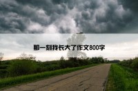 那一刻我长大了作文800字