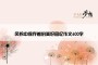风铃中保存着的美好回忆作文600字