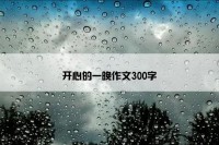 开心的一晚作文300字