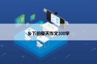 乡下的夏天作文300字