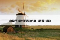 小学足球控球活动方案（优秀10篇）