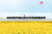 神奇的防护服作文800字我的奇思妙想