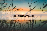 那一刻我长大了800字