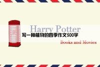 写一种植物的四季作文500字