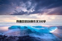 我喜欢的玩具作文300字