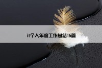it个人年度工作总结15篇