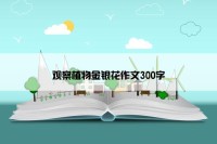 观察植物金银花作文300字