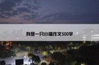 我是一只小猫作文500字