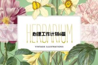心理工作计划6篇