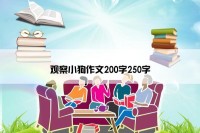 观察小狗作文200字250字