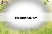 家乡的特色作文300字