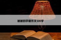 爸爸的手套作文300字