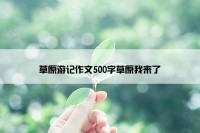 草原游记作文500字草原我来了