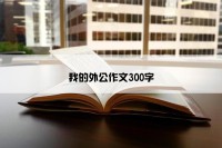 我的外公作文300字