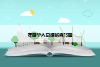 年度个人总结优秀15篇