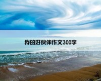 我的好伙伴作文300字