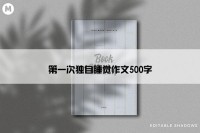 第一次独自睡觉作文500字
