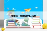 难忘的一次体验作文450字