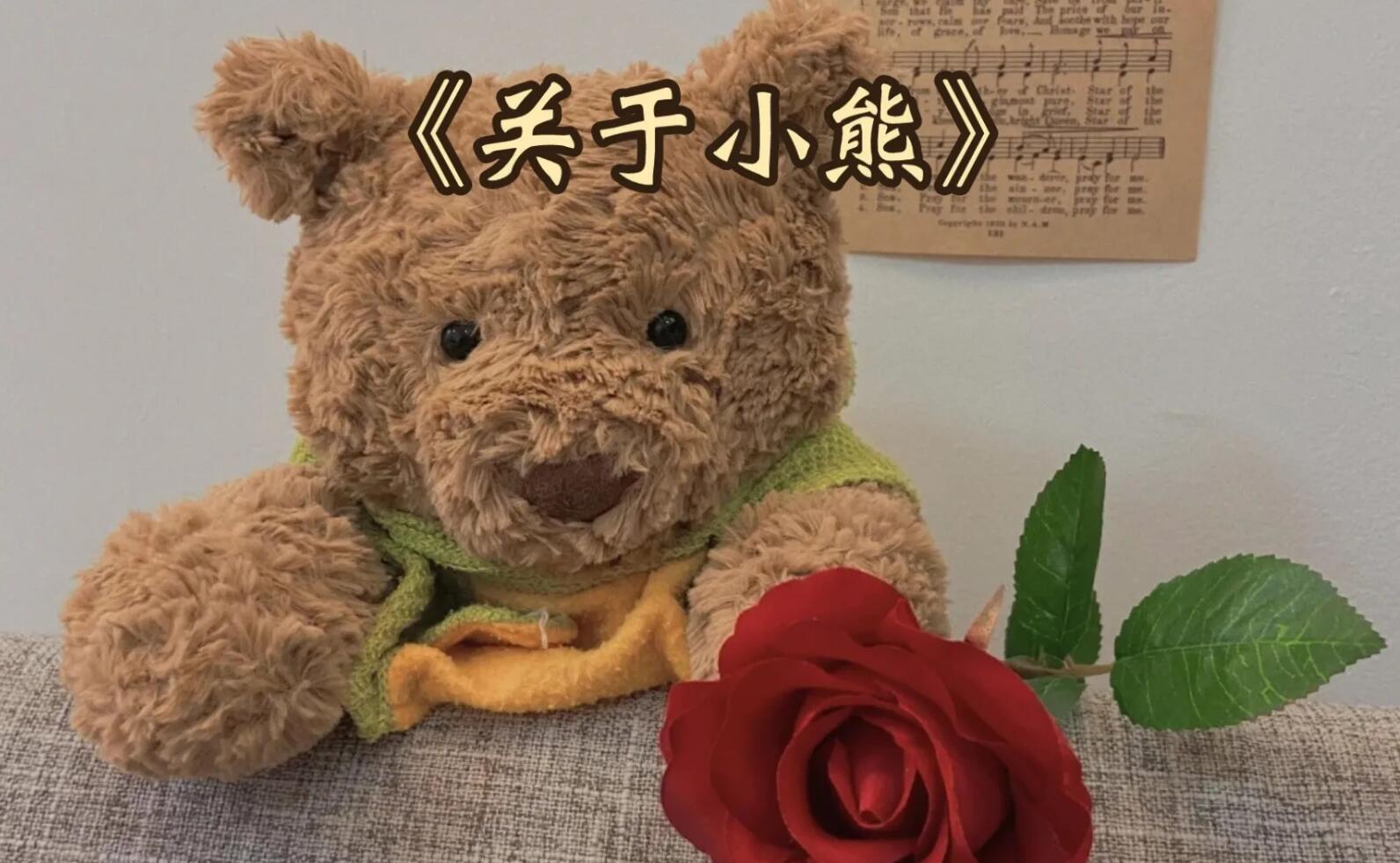 关于小熊.jpg