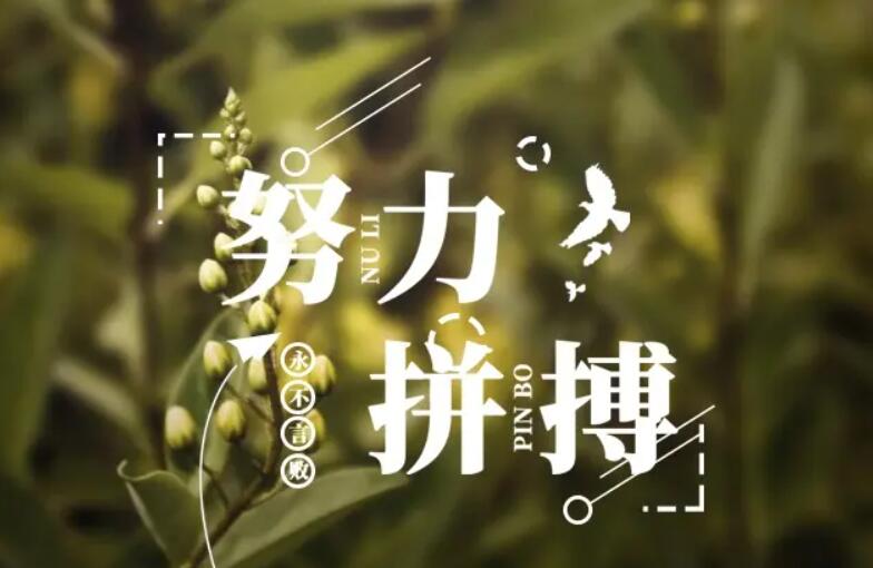 努力.jpg