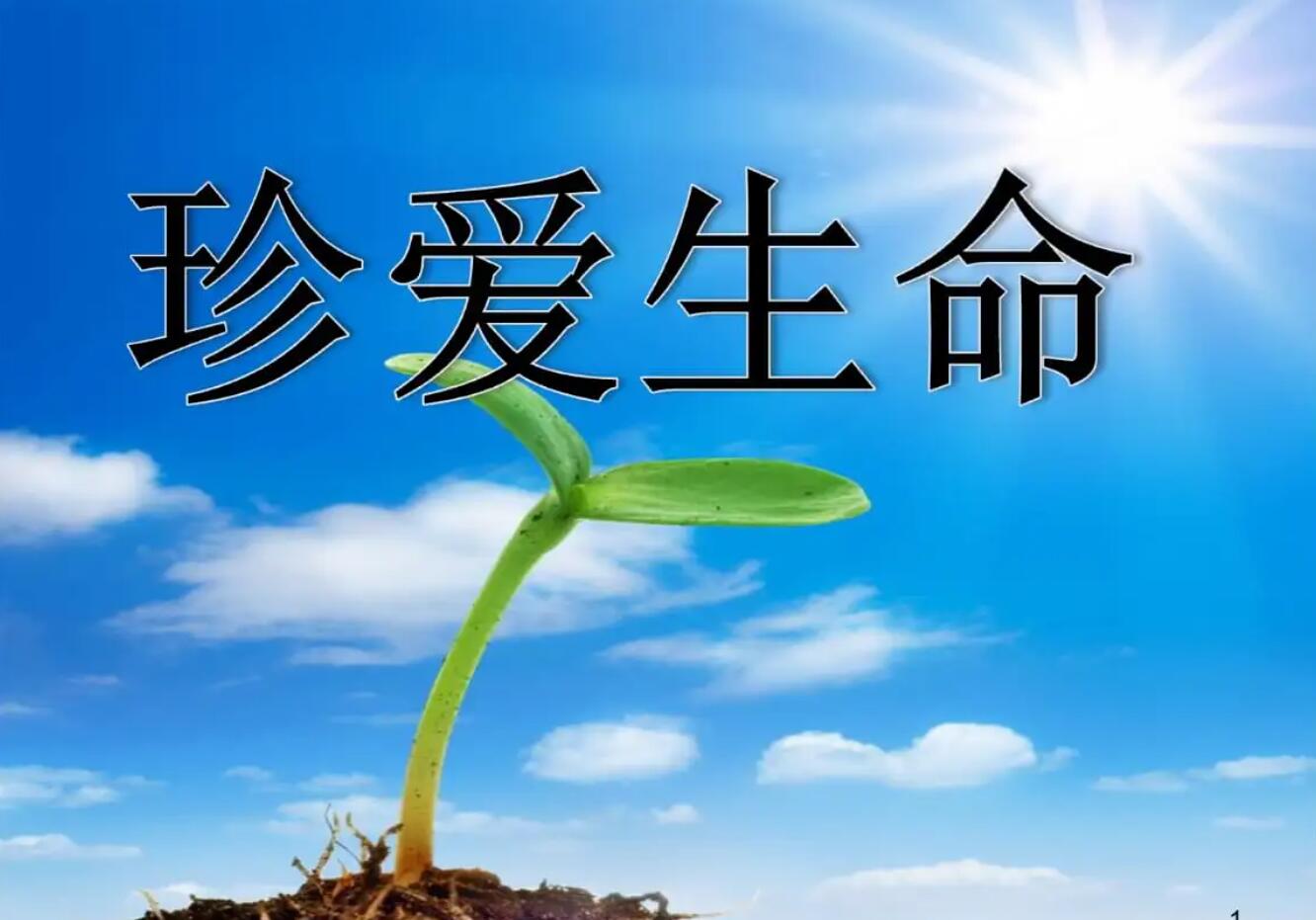 珍爱生命.jpg