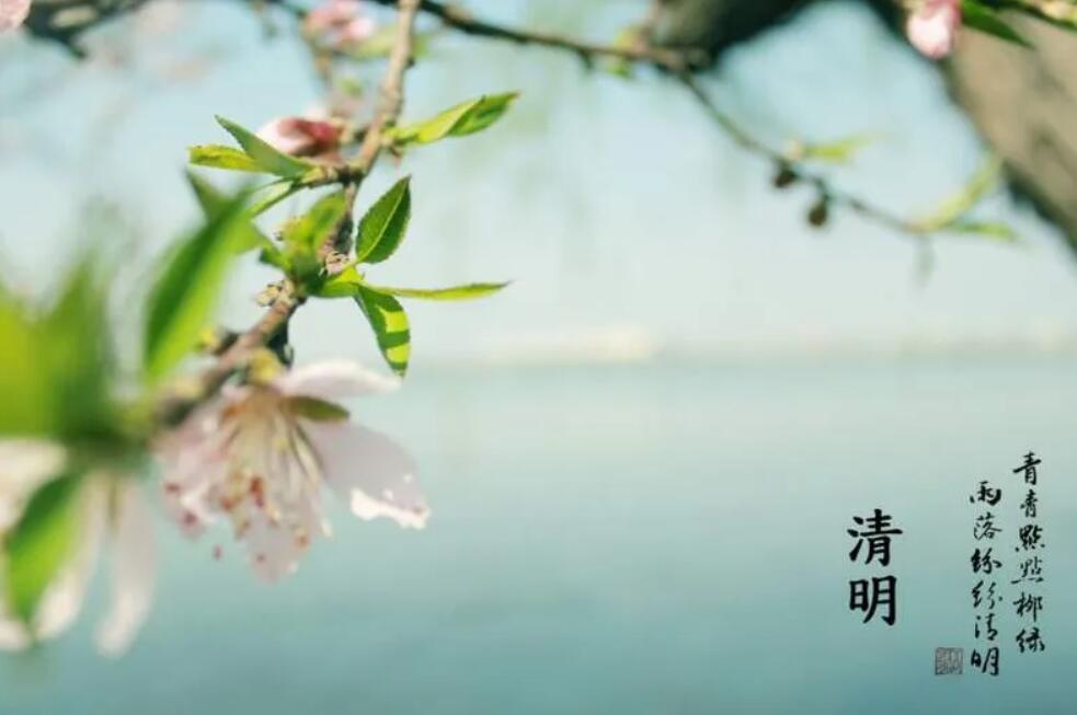 有关清明.jpg
