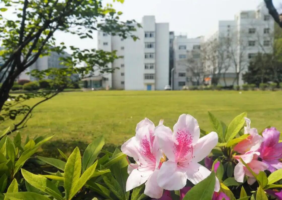 校园景物.jpg