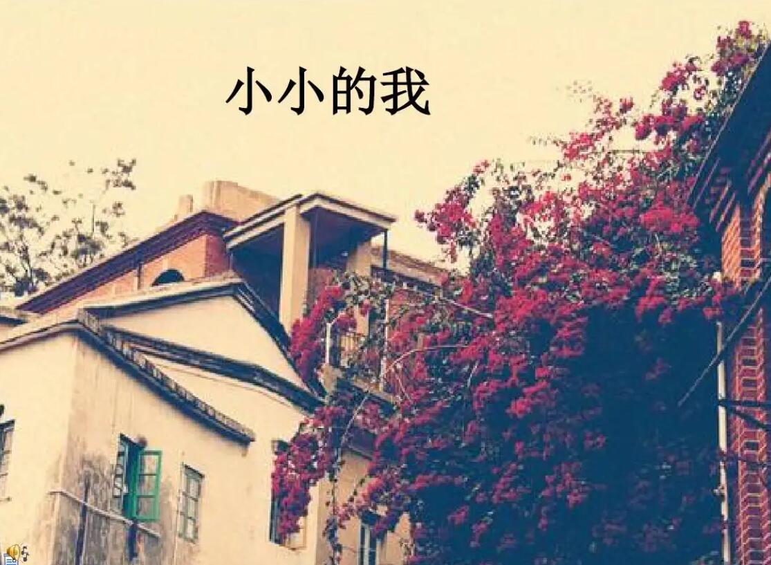 小小.jpg