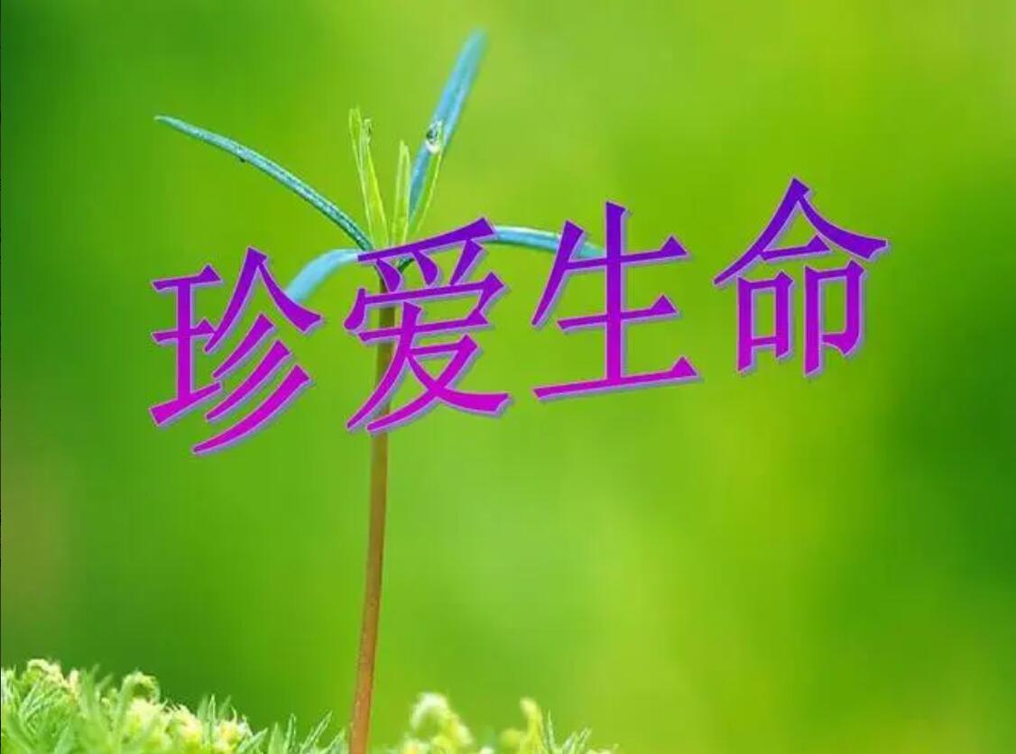 关于珍爱生命.jpg