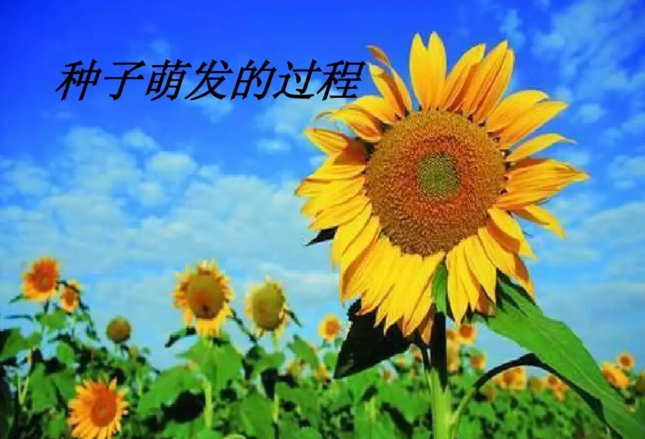 过程.jpg