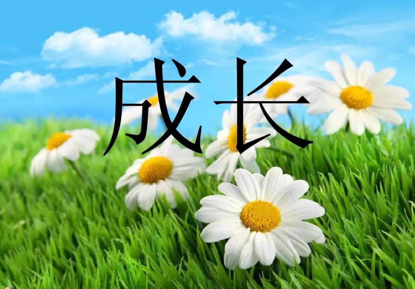 成长.jpg