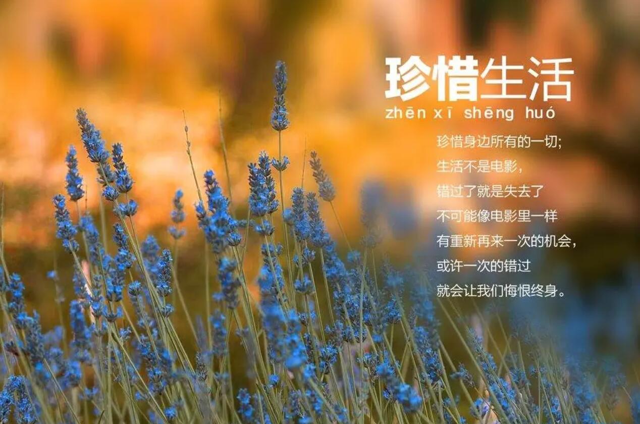 珍惜.jpg