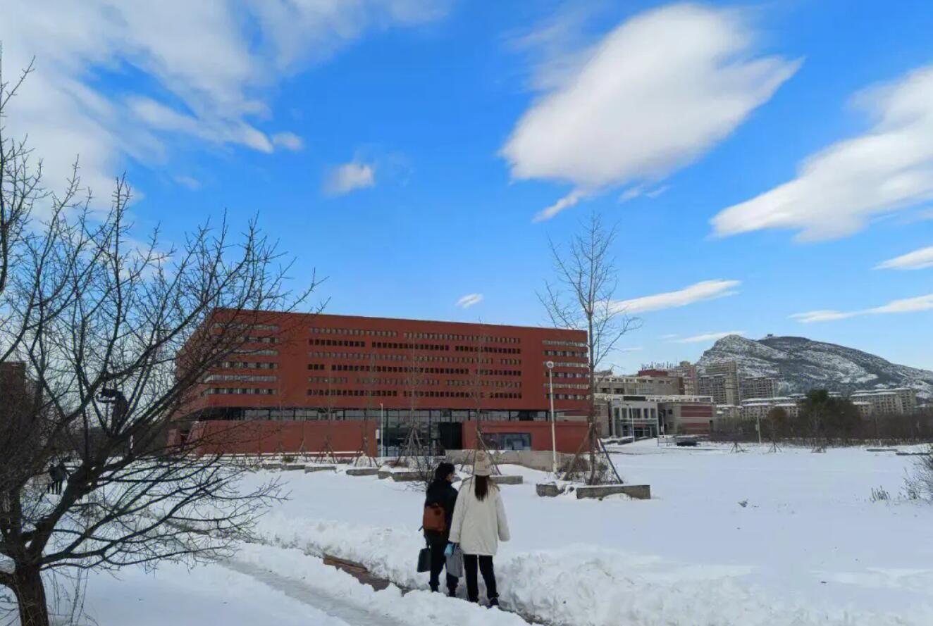 雪后的校园.jpg