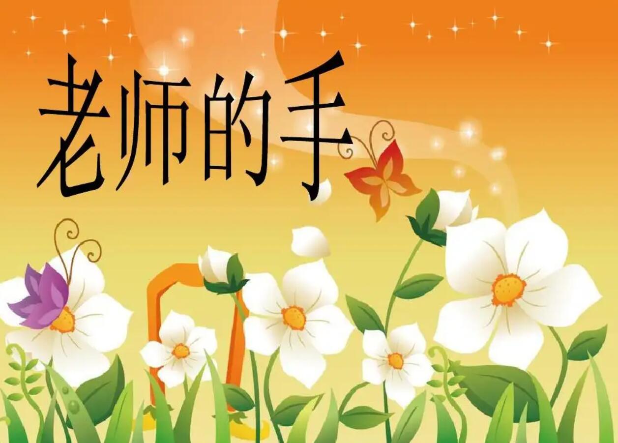 老师的手.jpg