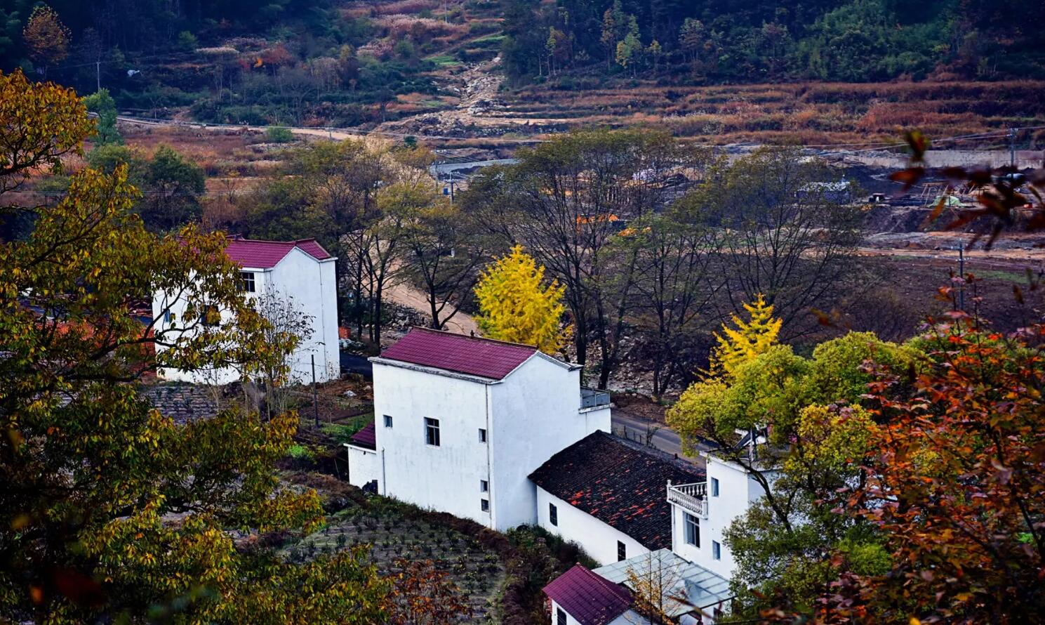 有关故乡.jpg