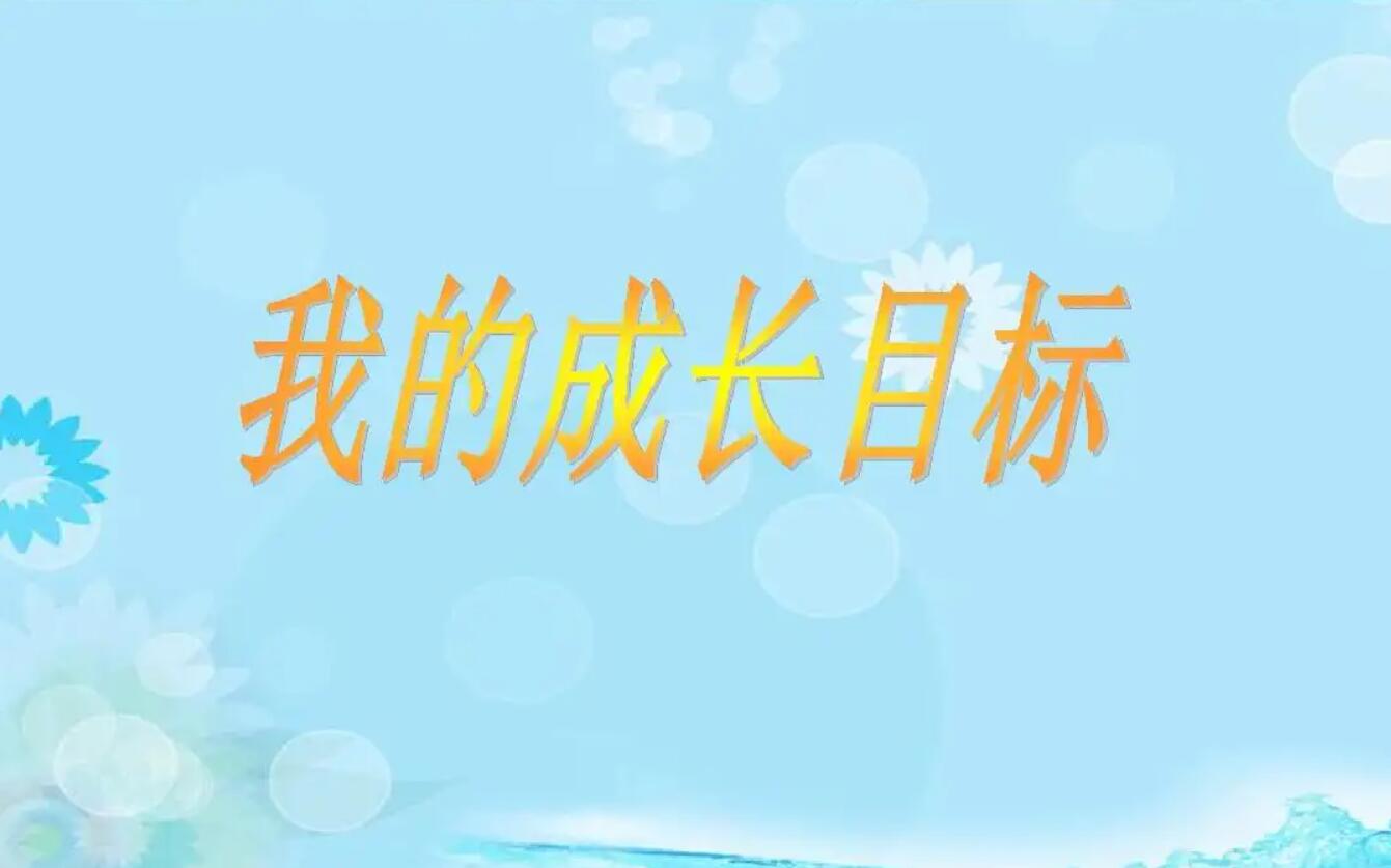 我的目标.jpg