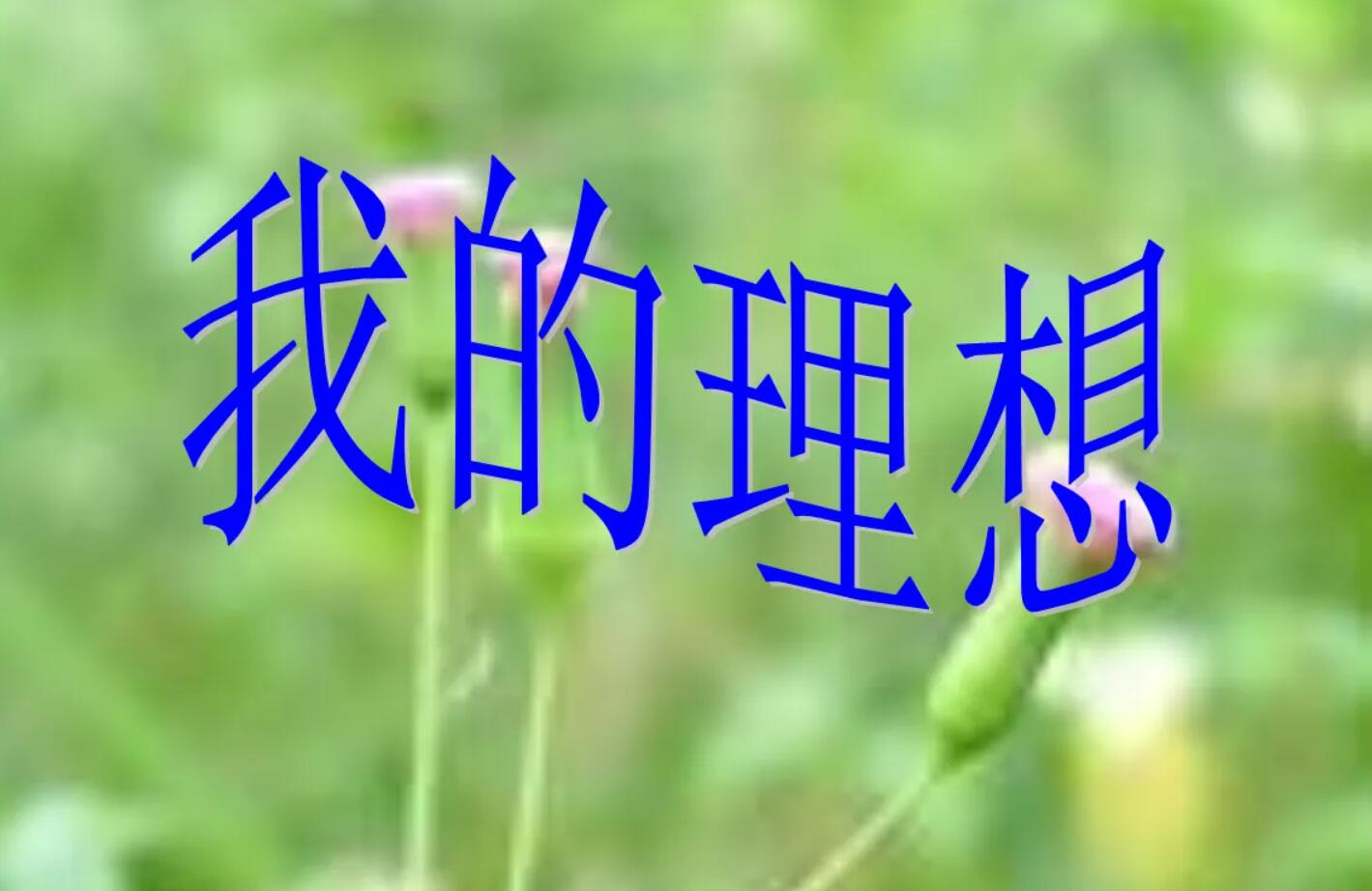 我的理想为命题.jpg
