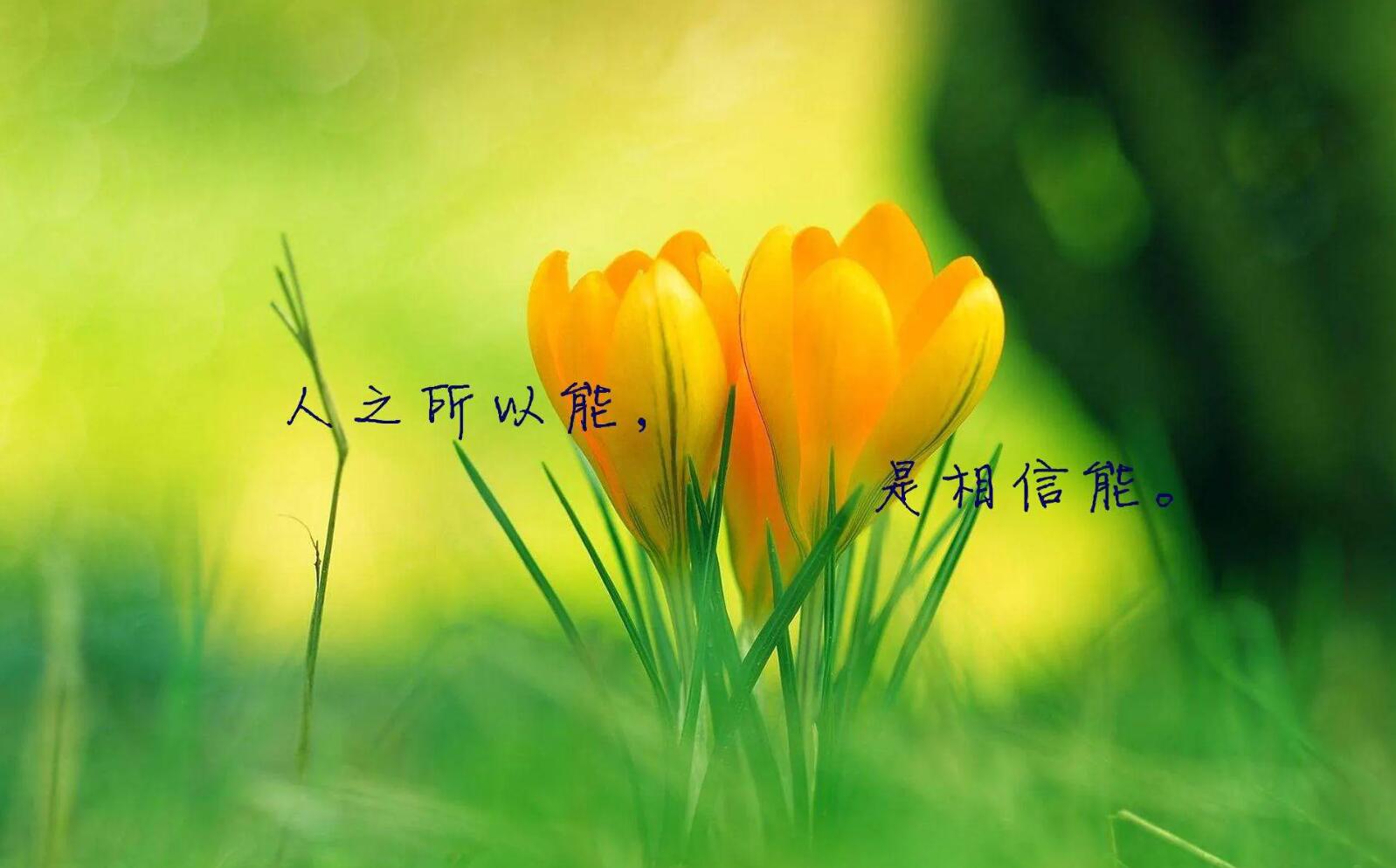 机会励志.jpg