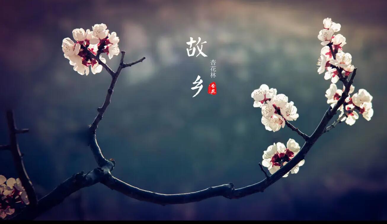 有关故乡.jpg
